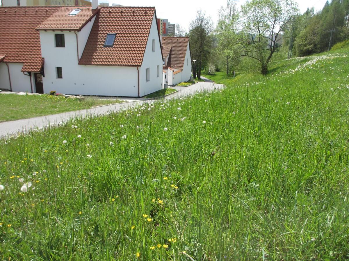 Apartmany U Prochazku Czeski Krumlow Zewnętrze zdjęcie